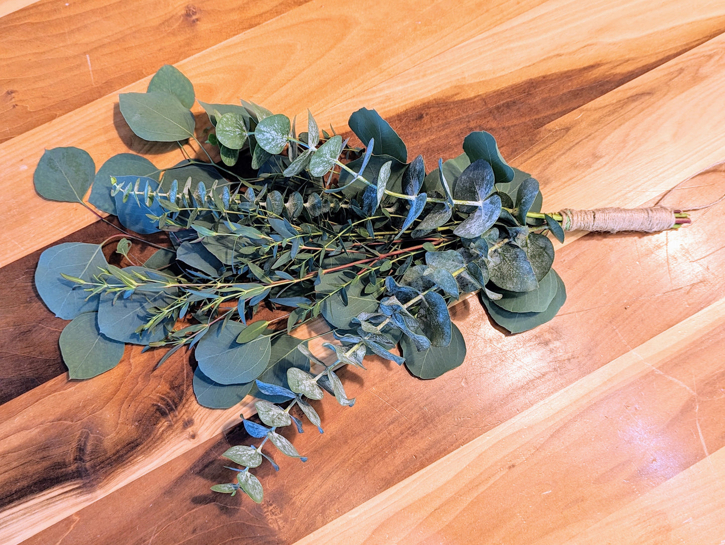 Eucalyptus Shower Bundles