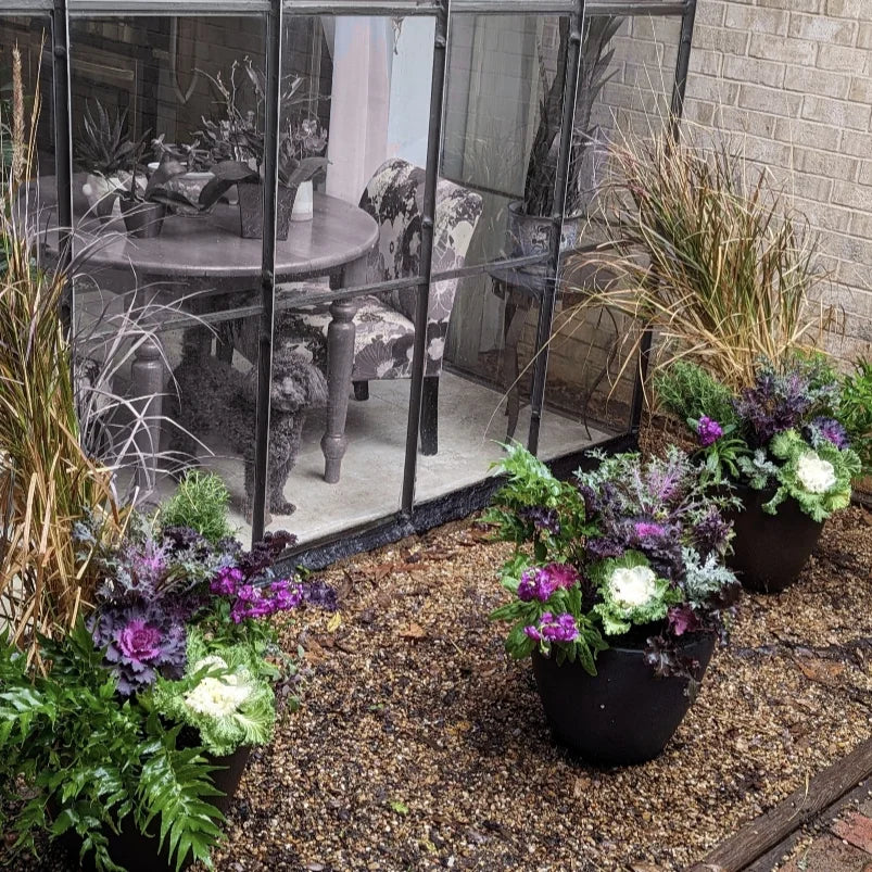 Custom Plant Arrangements