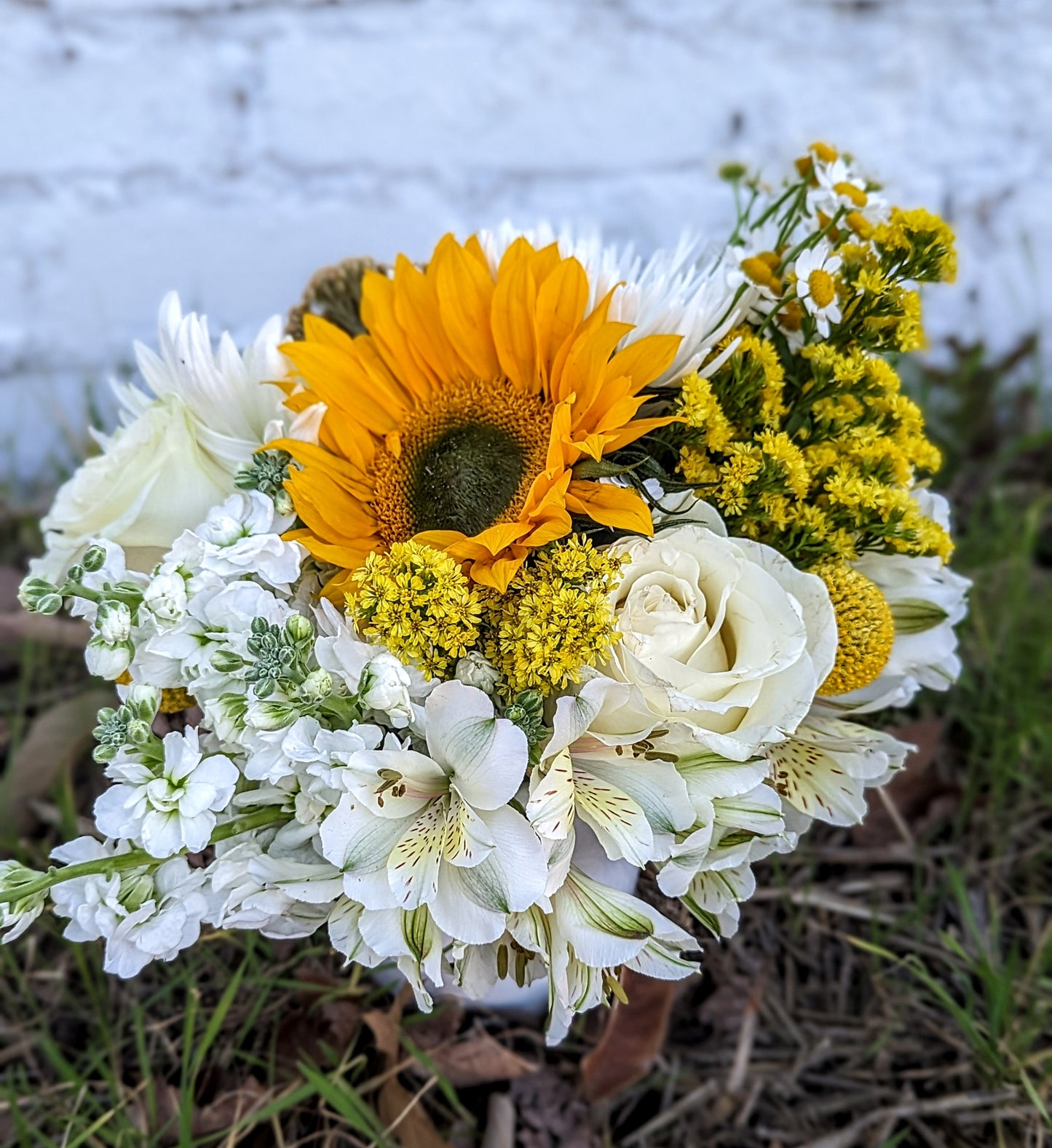 Playful Flowers